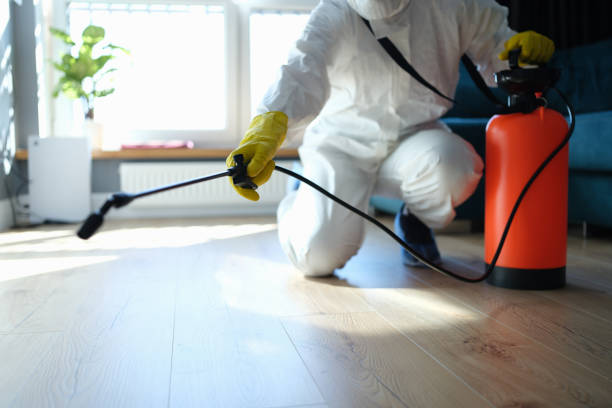 Reliable Infectious Disease Decontamination contractor in Magnolia, NJ by Crime Scene Cleaner Online